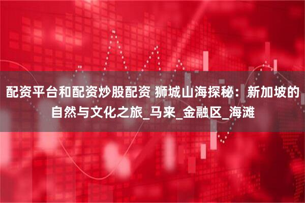 配资平台和配资炒股配资 狮城山海探秘：新加坡的自然与文化之旅_马来_金融区_海滩